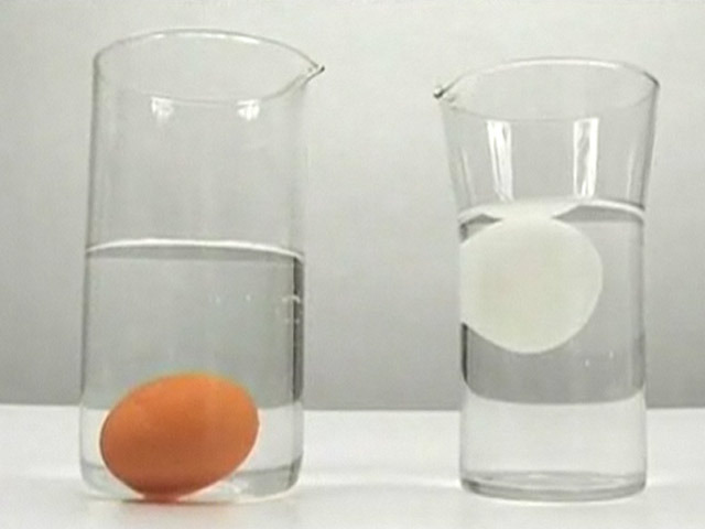 О свежести яиц
